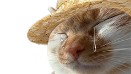 九游娱乐官方入口-官宣！广州社保大调整！
